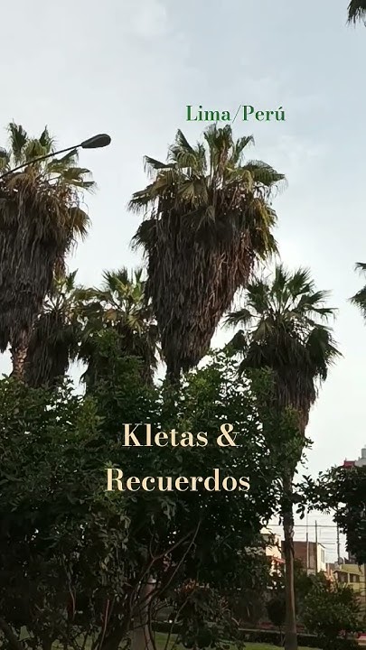 #se qué ya no vendras#se que ya no estarás !!!😏 - YouTube
