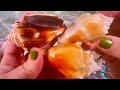 How to Clean Fighting Conch Shells &amp; How to Open Oysters With Pearls only on Fun House TV