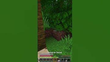 Minecraft Guide: How to get Cocoa Beans #shortvideo #minecraft #mctutorial #gaming #tutorial #memes