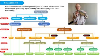 Fish Classification-III (Upto Orders based on Nelson 2006,2016)