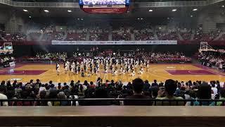 20190324　LAST IDOL Live performance　ラストアイドル '歩く芸術', '大人サバイバー' とどろき