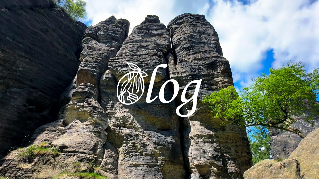 德国vlog. 第一次徒步/做饭直觉派