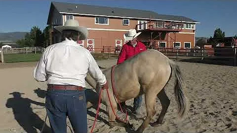 Colt Starting - Gerry Cox - Lay a Horse Down - Yea...