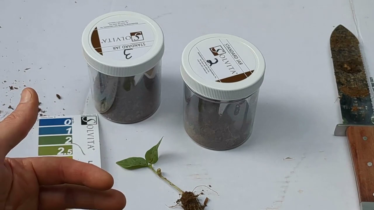 ForGround Field Advice | Soil Respiration