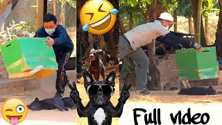 Aluminum Box vs Prank Dog Very Funny - Must Watch Funny Comedy New Prank With Try To Stop Laugh😂😁🐕