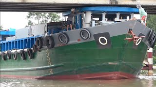 sà lan khổng lồ vướng cầu thấp vào mùa nước lớn