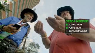 Seeds Shots a Shocking End Growing Belushi 4K