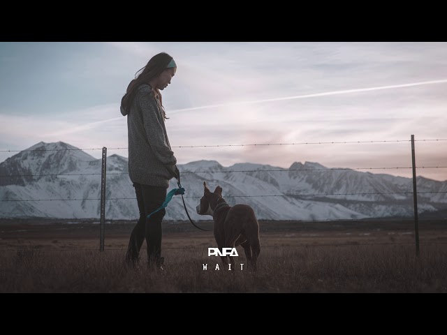 PNFA - MILES AND BEAUTY BUT SLOWLY