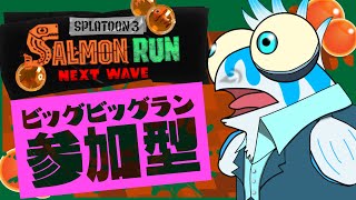 【サーモンラン】オカシラ3体！？！？やったろやないか！！！！【銀猫様】