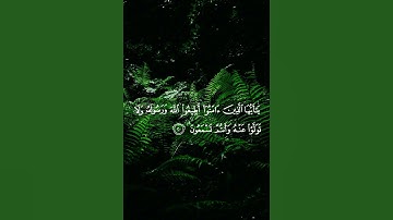القاري عبد الرحمن مسعد سورة الأنفال  وهو اشفاء القرآن الكريم
