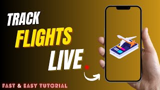 How to Track Flights in Real Time on Google Maps 2025 screenshot 5