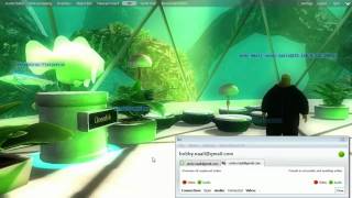 realXtend Naali 0.1 communications: voice chat screenshot 5