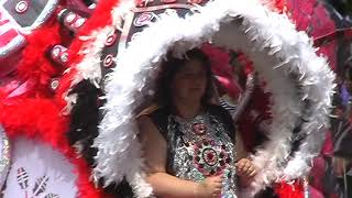 20090525 Luton Carnival 2009 Part 2