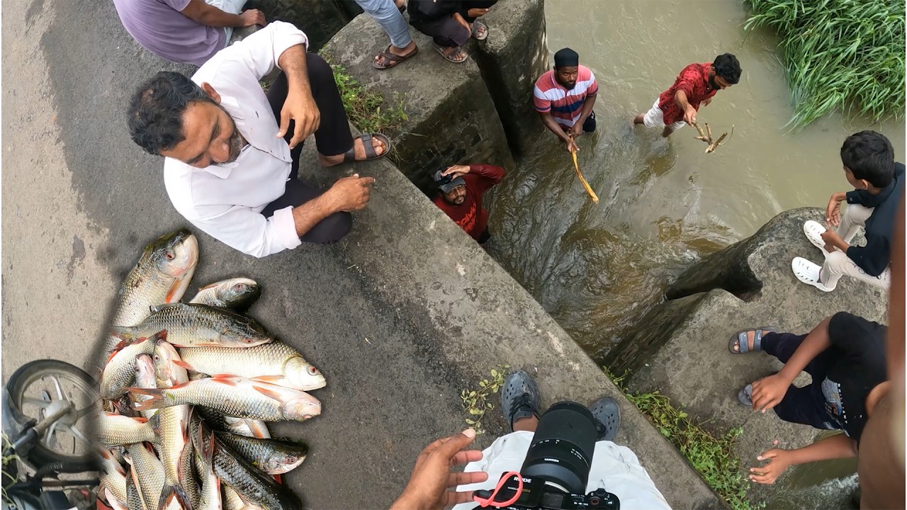 रोहू मछलियां घर तक आ पहुंची 😱😱| लोग देख हुए पागल🤪 