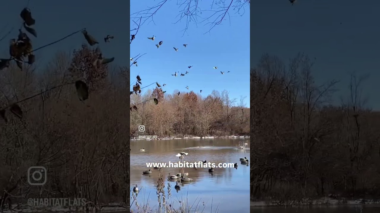 Experience the Ultimate Sportsman’s Destination. 