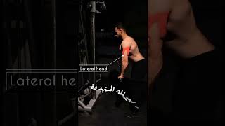 ازاي تلعب تراي حبل صح ١٠٠٪ هيفجر دراعك في اقل من دقيقه ?