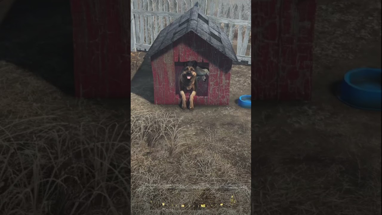 this is the peak Fallout 4 experience (world might be on fire, but my dog has a house) 