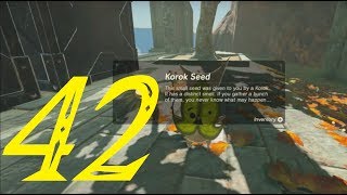 Akkala Korok Seeds, Part 1 | Zelda: Breath of the Wild 100% Walkthrough '42/127' (No Commentary) Akkala Korok Seeds, Part 1 | Zelda: Breath of the Wild 100% Walkthrough '42/127' (No Commentary)