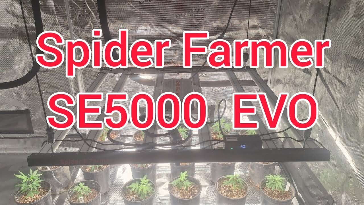 Spider Farmer SE5000 EVO light. Lets talk about it