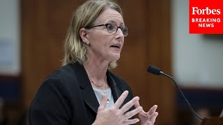 FEMA Administrator Deanne Criswell Testifies Before House Appropriations Committee | Full Hearing