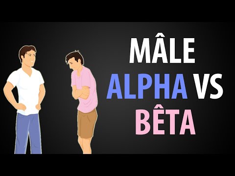 Vidéo: Comment Le Mâle Bêta Diffère Du Mâle Alpha