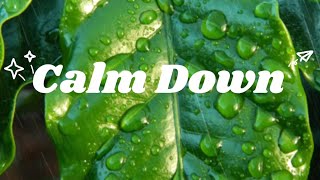 Rema, Selena Gomez - Calm Down ( Lyrics) #calmdown #pop