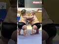 Baby Funny Cute Cutebaby Love Funnyanimal Gaming Reels Youtube Youtubeshorts Yamaha 