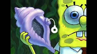 the magic conch shell