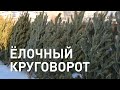 Акция &quot;Ёлочный круговорот&quot;