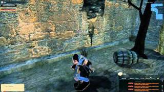 Vindictus: SP: Shield Repair