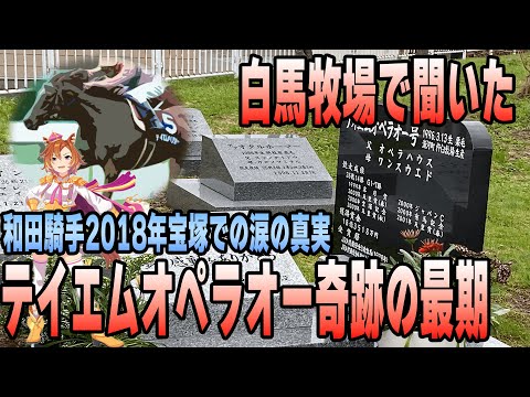 【世紀末覇王】テイエムオペラオーが亡くなった日の奇跡【最強 競馬】
