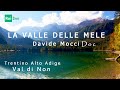 La valle delle mele davidemocci  mocci doc rai geo  trentino alto adige val di non melinda natura