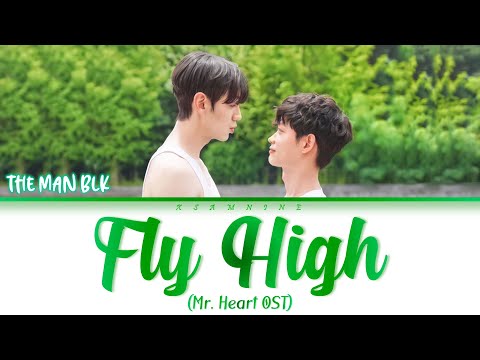 YouTube पर THE MAN BLK(더 맨 블랙) - Fly High | 웹드라마 Mr Heart 미스터하트 OST देखें