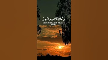 تلاوة خاشعة#راحة_نفسية #آيات # الذكر#الحكيم