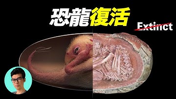 1.3萬年前滅絕的「恐狼」被復活，恐龍復活？基因編輯？人類是否打開了潘多拉盒子？「曉涵哥來了」