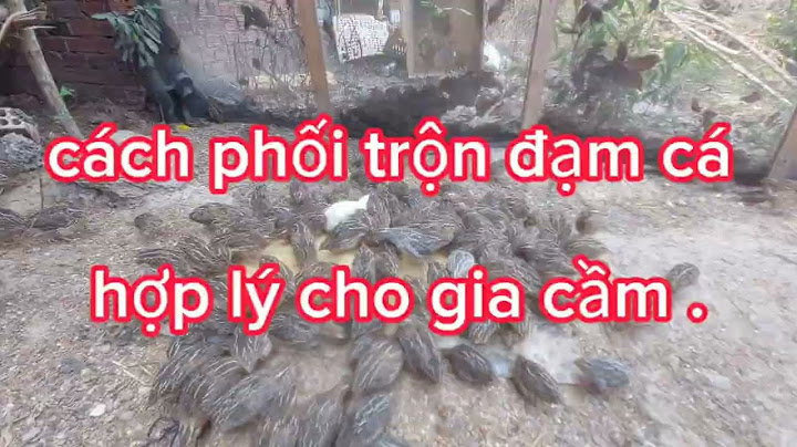 Phân hóa là gì phản phân hóa là gì năm 2024