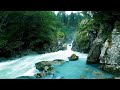 疲れを勢いで洗い流してくれる激しい川の音（川のせせらぎ）【大自然,勉強,作業,集中,睡眠,癒し,瞑想,リラックス,赤ちゃん寝かしつけ,高音質,落ち着くBGM,自律神経を整える,ASMR】