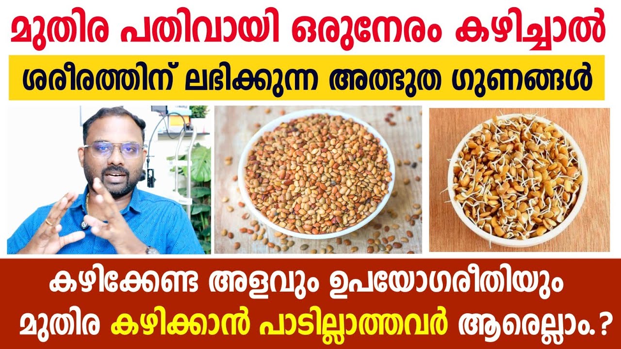 പതിവായി മുതിര കഴിച്ചാൽ ശരീരത്തിന് ലഭിക്കുന്ന അത്ഭുത ഗുണങ്ങൾ | മുതിര കഴിക്കാൻ പാടില്ലാത്തവർ ആരെല്ലാം