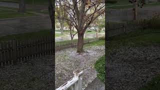 Sleet in Batavia, Illinois 4/22/202