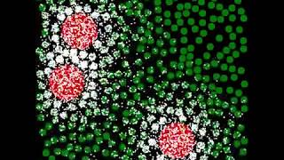 Simulation of nanoparticle drug penetration into tissue