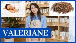 Bienfaits De La Valériane Herbe À Chat Insomnie, Réveils Nocturnes, Anxiété, Douleurs Musculaires
