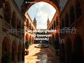 Oldest University: University of al-Qarawiyyin 🏛️