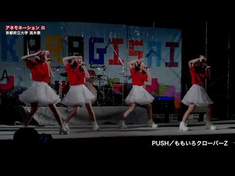 アネモネーション🌺 夏のFree&Easy／乃木坂46、PUSH／ももいろクローバーZ 流木祭 -10,11
