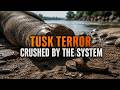 Karnataka Elephant Tragedy: Tourist Killed, Elephant Dead,  | Who Is Responsible? | News9