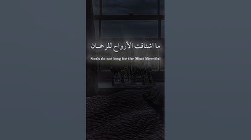 القران الكريم راحة نفسيه 😌 قيام الليل