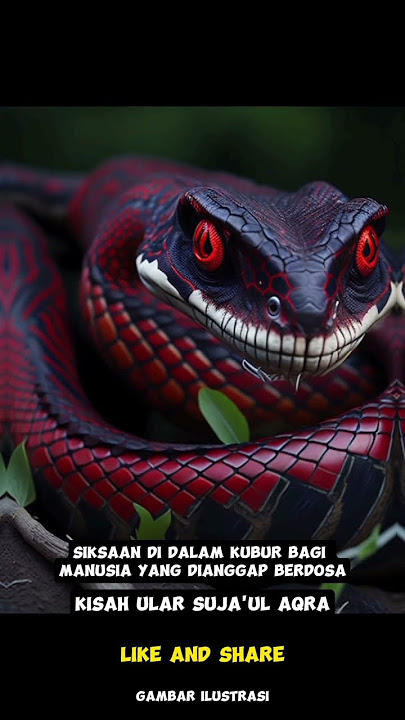 kisah ular suja'ul aqra makhluk yang menyiksa manusia di alam kubur.