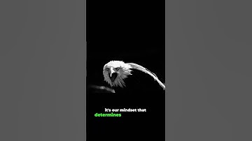 "Rise Above: Embracing Life