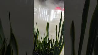 Moment MASSIVE 7.5-Magnitude Earthquake Rocks Venezuela #shorts
