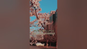 محمد بدر حسين سورة الانعام 99| تلاوة جميلة