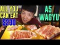 FINEST All You Can Eat WAGYU BEEF in Tokyo Japan: Matsusaka Beef